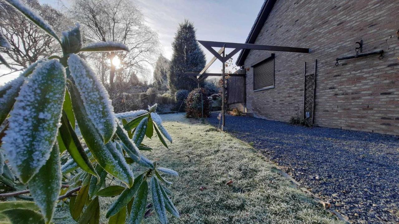 Gite Les Sittelles Tenneville ภายนอก รูปภาพ