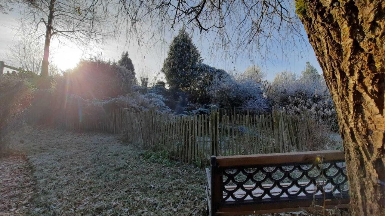 Gite Les Sittelles Tenneville ภายนอก รูปภาพ