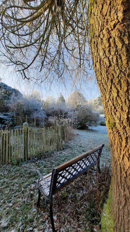 Gite Les Sittelles Tenneville ภายนอก รูปภาพ